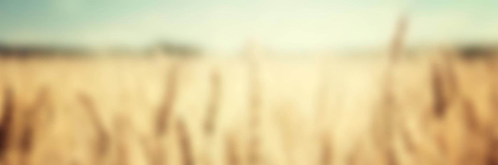 Poole Revival Fellowship | Charici