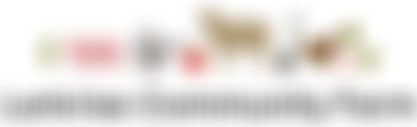 Larkrise Community Farm | Charici