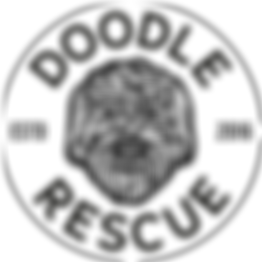 Doodle Rescue | Charici