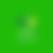 Leaf - Locally Encouraging All To Flourish | Charici