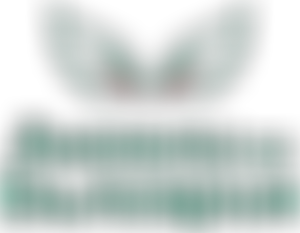 Angels For Bulgaria | Charici