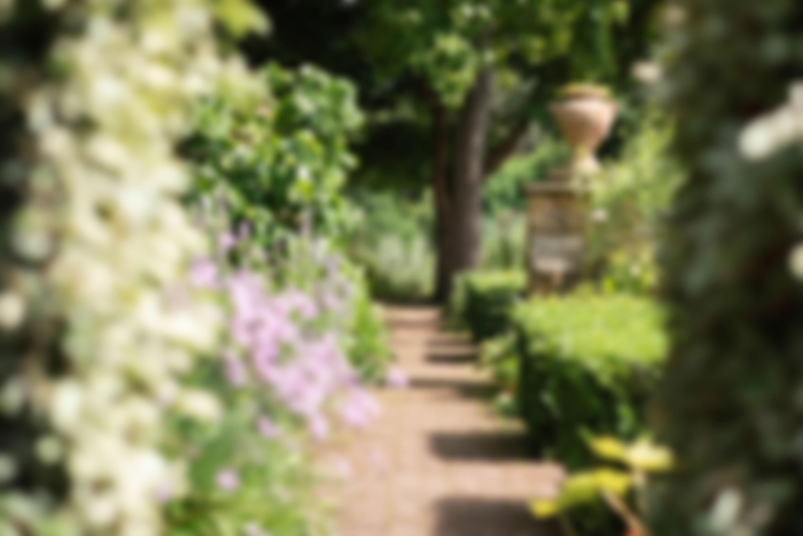 The Chelsea Physic Garden Company | Charici
