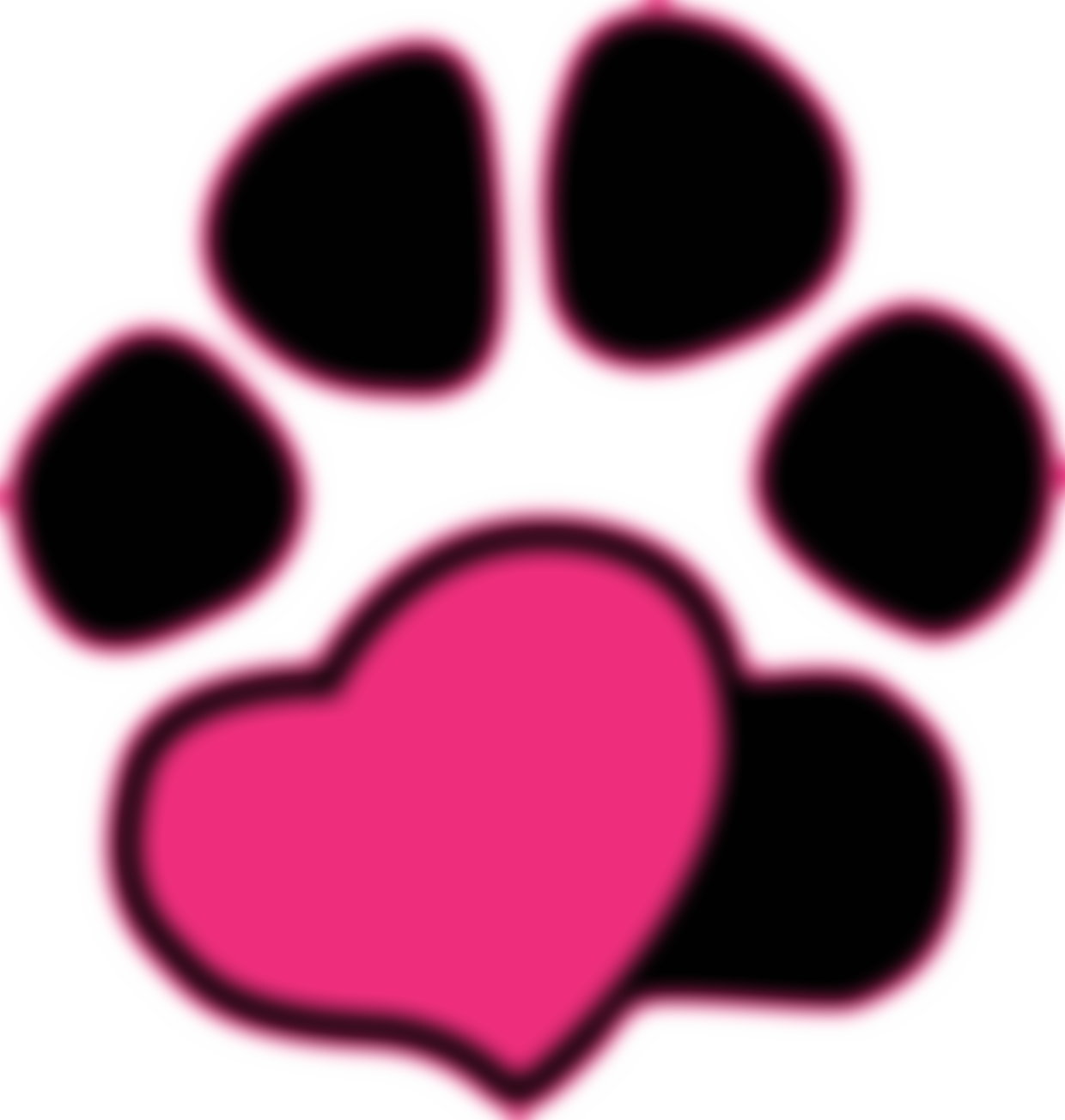 Chesterfield Animal Rescue | Charici