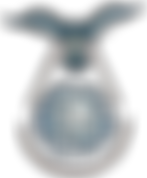 World Family Peace Foundation (Wfpf) | Charici