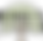 The King's Church Ringwood | Charici