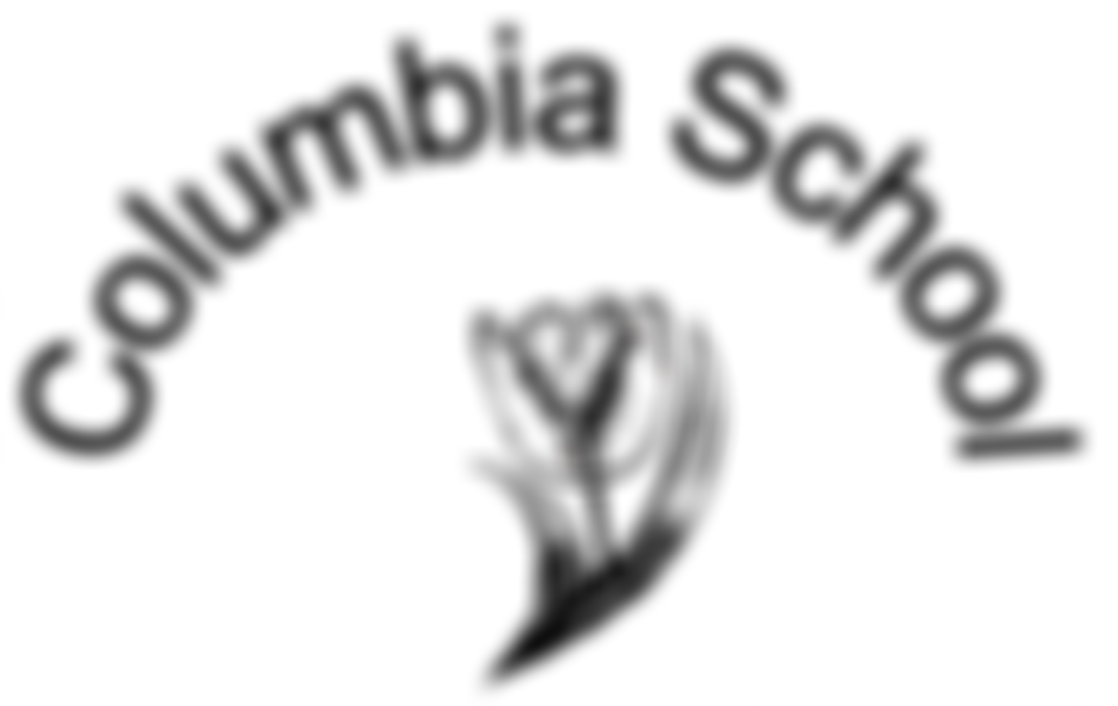Friends Of Columbia Primary School | Charici
