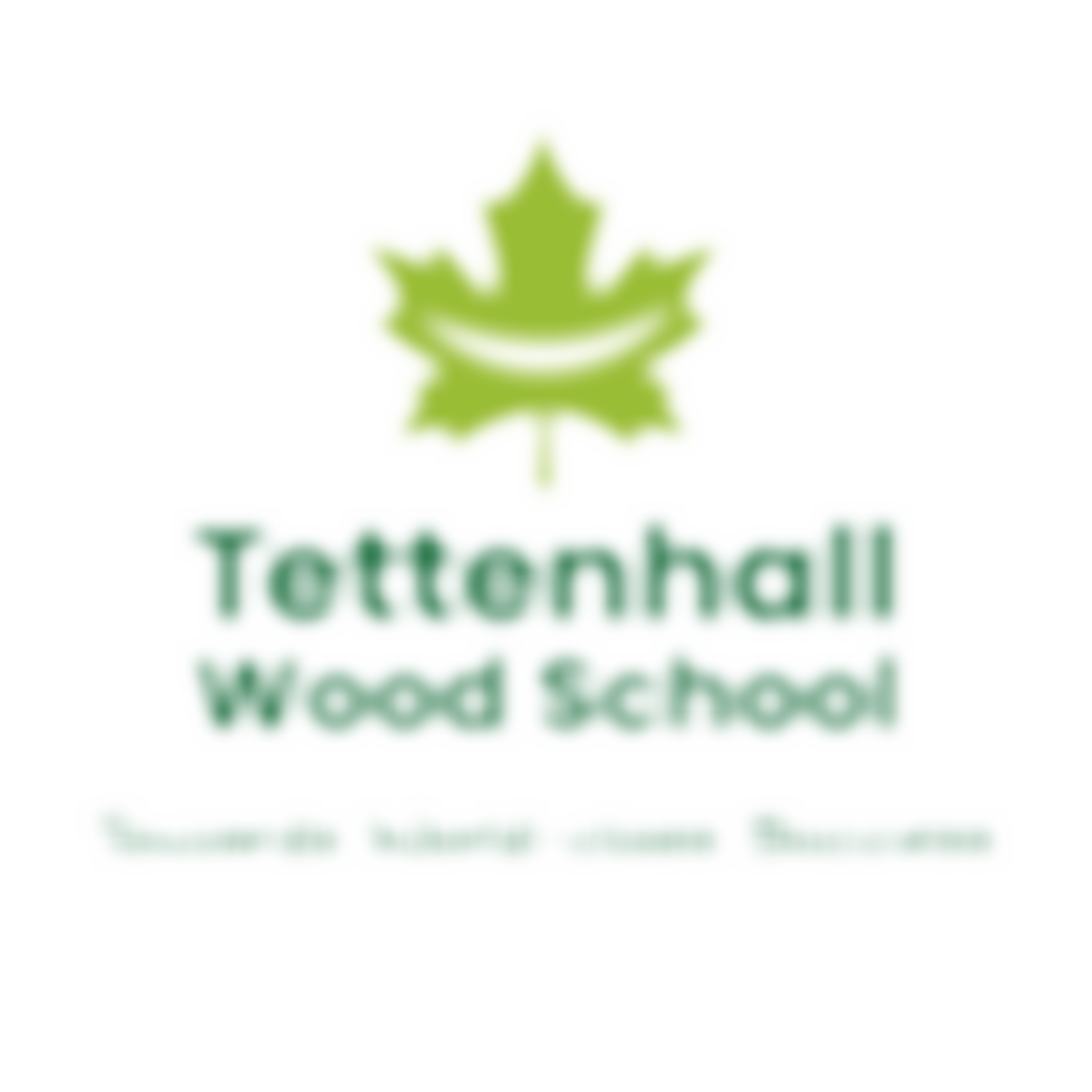 Ptfa Tettenhall Wood School | Charici