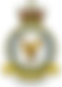 216 Squadron Association | Charici