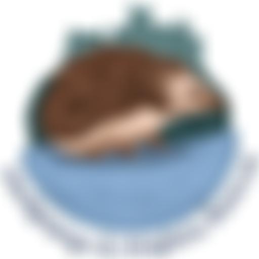 Hedgepigs And Hoglets Rescue | Charici