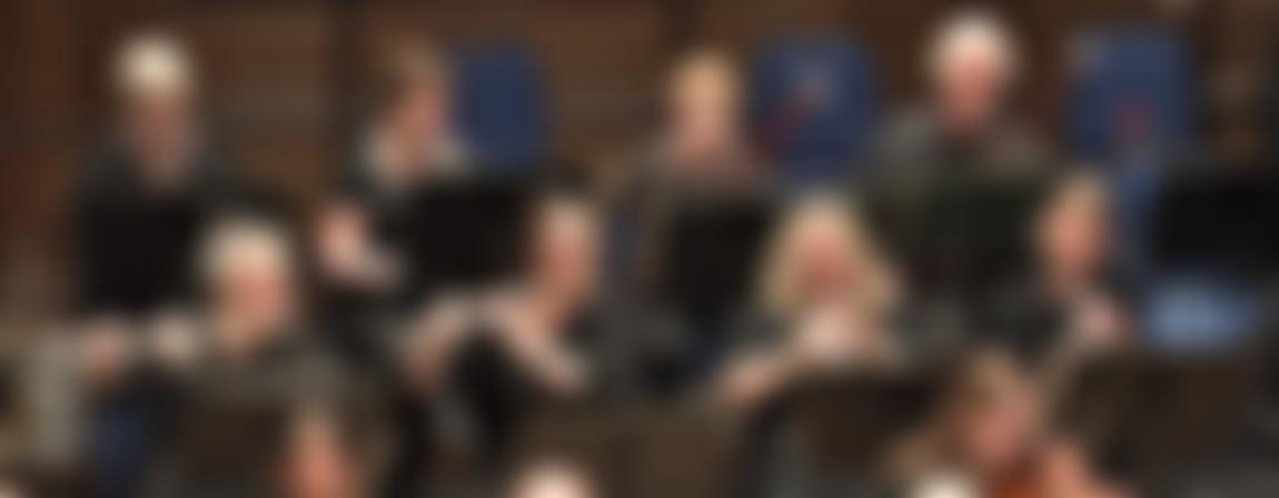 Winchester Symphony Orchestra | Charici