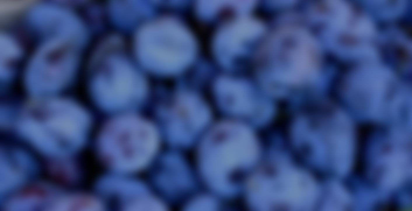 Westmorland Damson Association | Charici