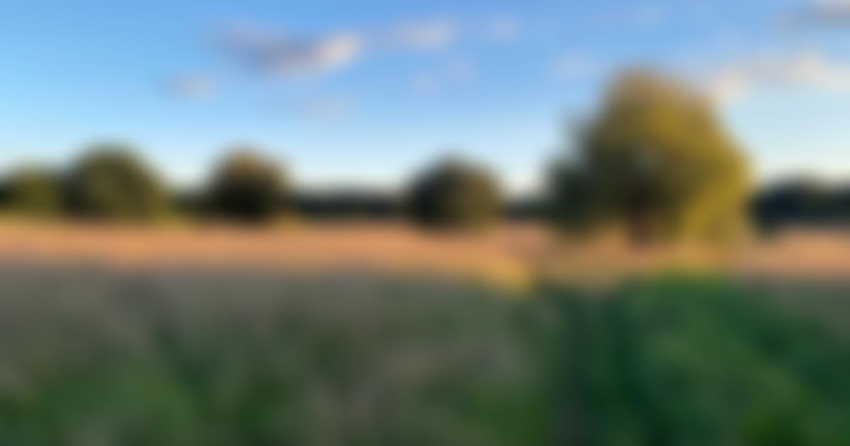 The Surrey Heath Arts Council | Charici