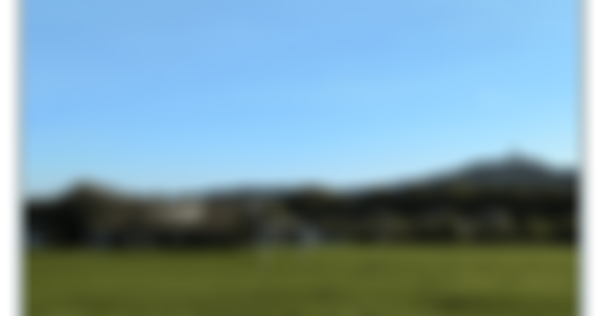 Netherton Junior Football Club | Charici