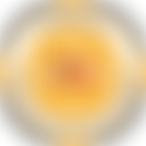 Copernicus Polish Saturday School New Malden | Charici