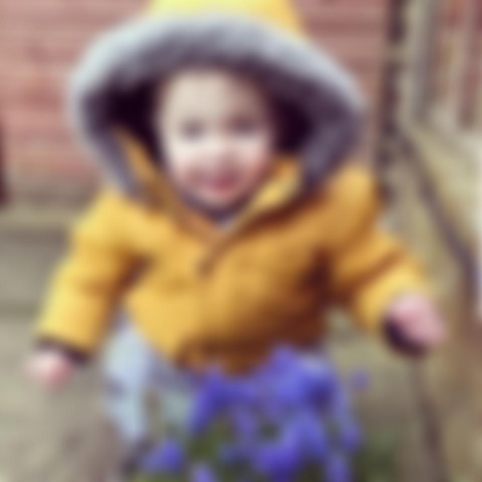 Georges Windmills | Charici