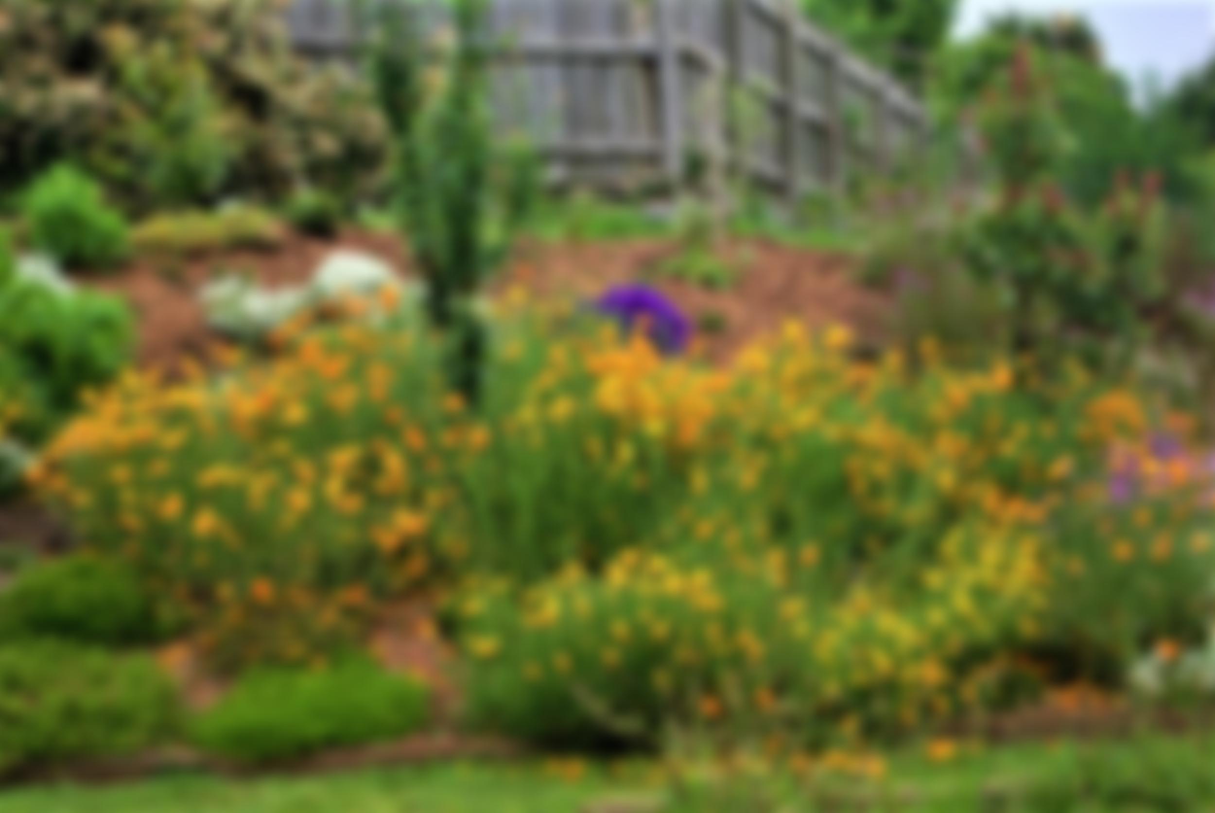 Scott Drive Church | Charici