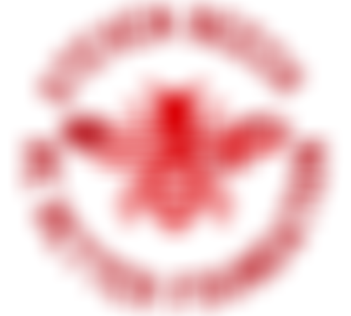 Steven Beech 'Be Better' Foundation | Charici