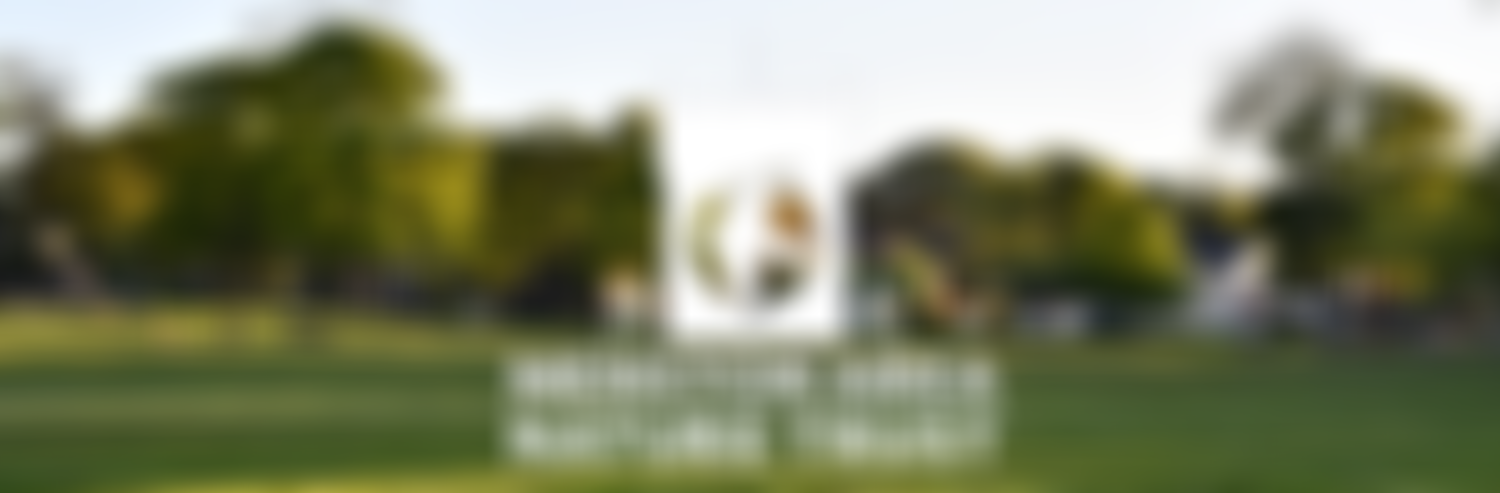 Menston Area Nature Trust | Charici