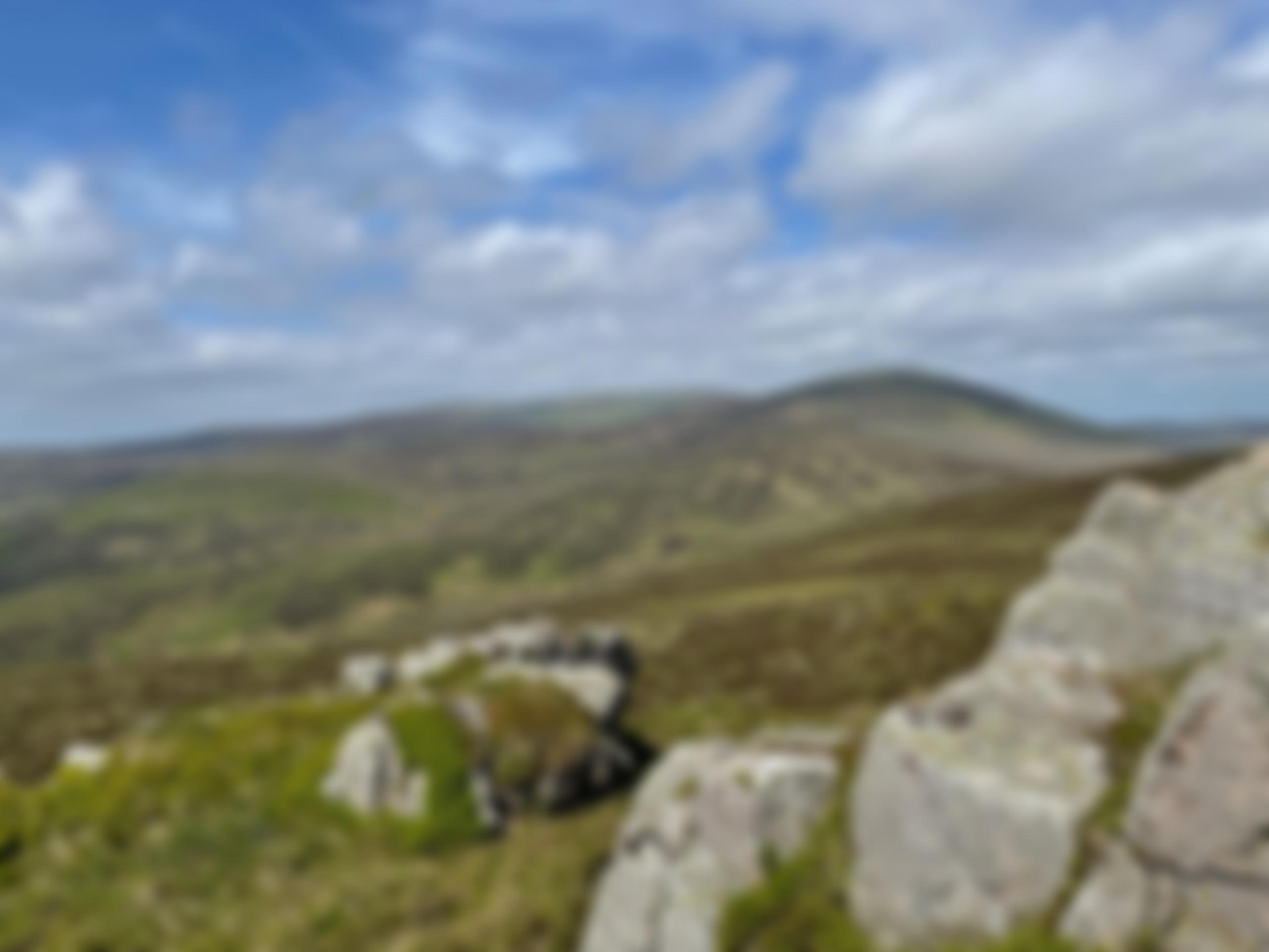 What A Wonderful World Trust | Charici