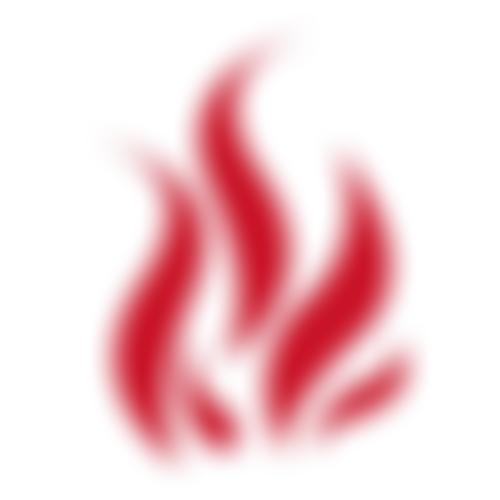 Flame International | Charici