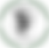 Sangeet Global Limited | Charici