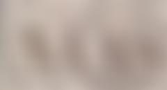 Anglo-Israel Archaeological Society | Charici