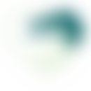 Haven Care Cardiff | Charici