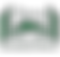 The Joshua Generation International Network Ltd | Charici