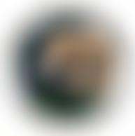 Dorset Mammal Group | Charici