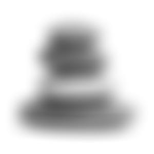 The Lynwood Fellowship | Charici