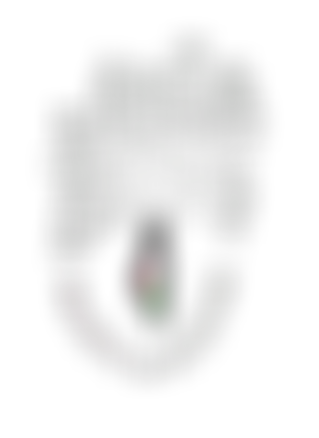 Projects In Palestine | Charici