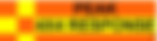 Peak 4X4 Response | Charici