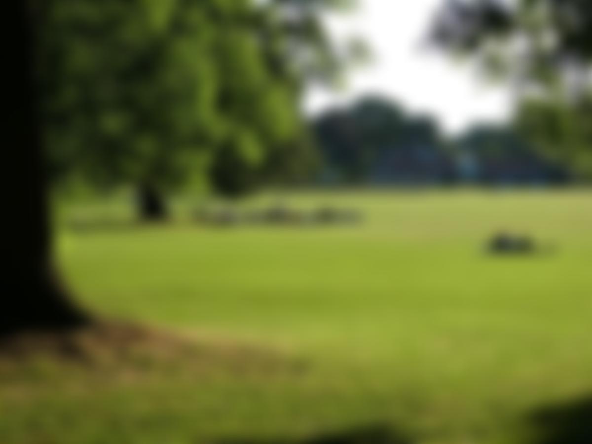 The Dulwich Park Friends | Charici