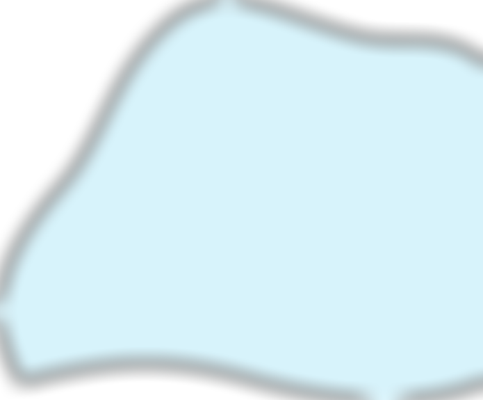 K&Q  Foundation | Charici