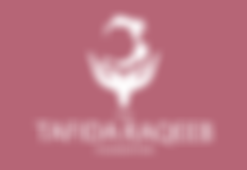 The Tafida Raqeeb Foundation | Charici