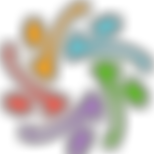 The Astra Foundation | Charici