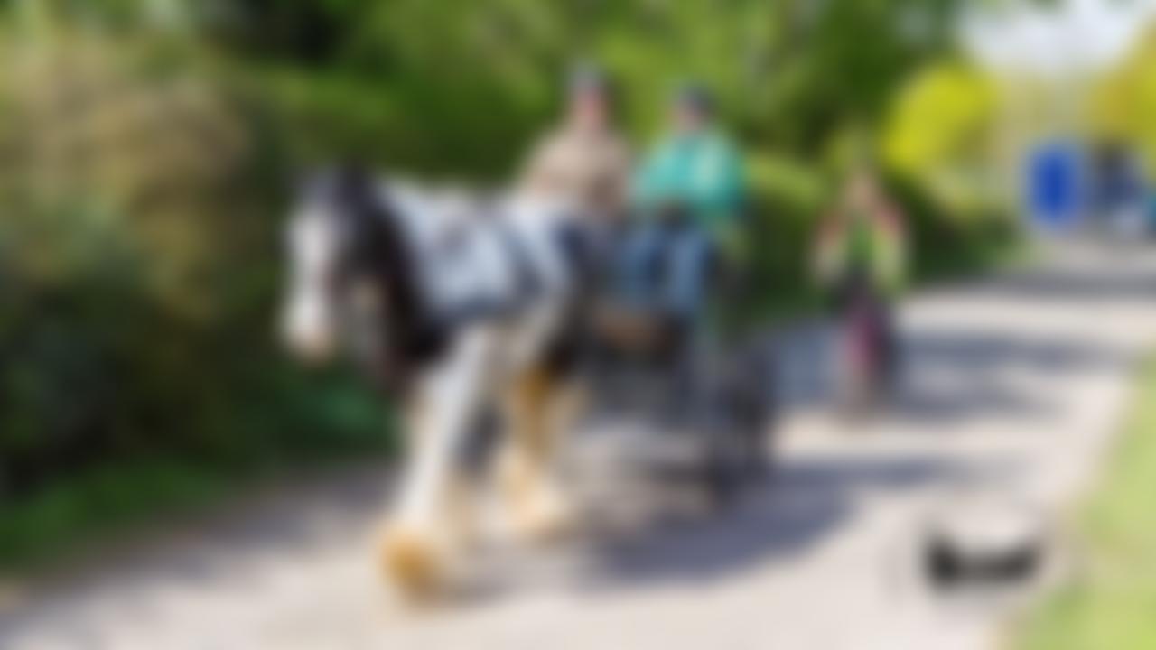 Happy Landings Driving Group Riding For The Disabled Association Incorporating Carriage Driving | Charici