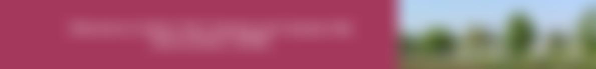 Saxmundham Sports And Recreational Club | Charici