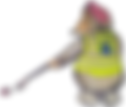 The Aylesbury Wombles | Charici