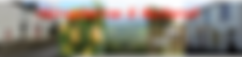 Harrowbarrow And Metherell Community Association | Charici