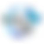 Molly's Gift | Charici