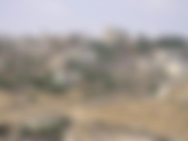 British Friends Of Rabbis For Human Rights | Charici