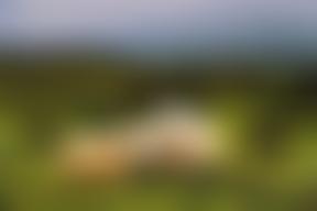 Padfield Community Spaces | Charici