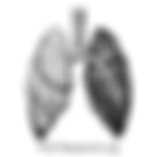 Pcd Research | Charici