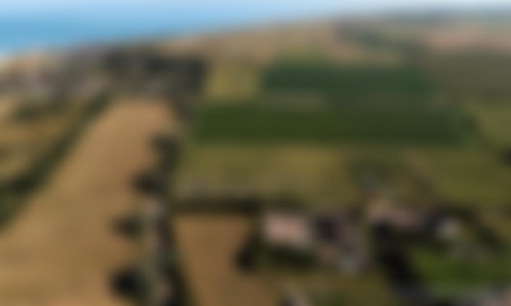 Sandwich Bay Bird Observatory Trust | Charici