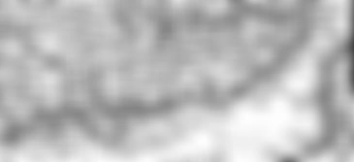 The Southern Early Music Forum | Charici