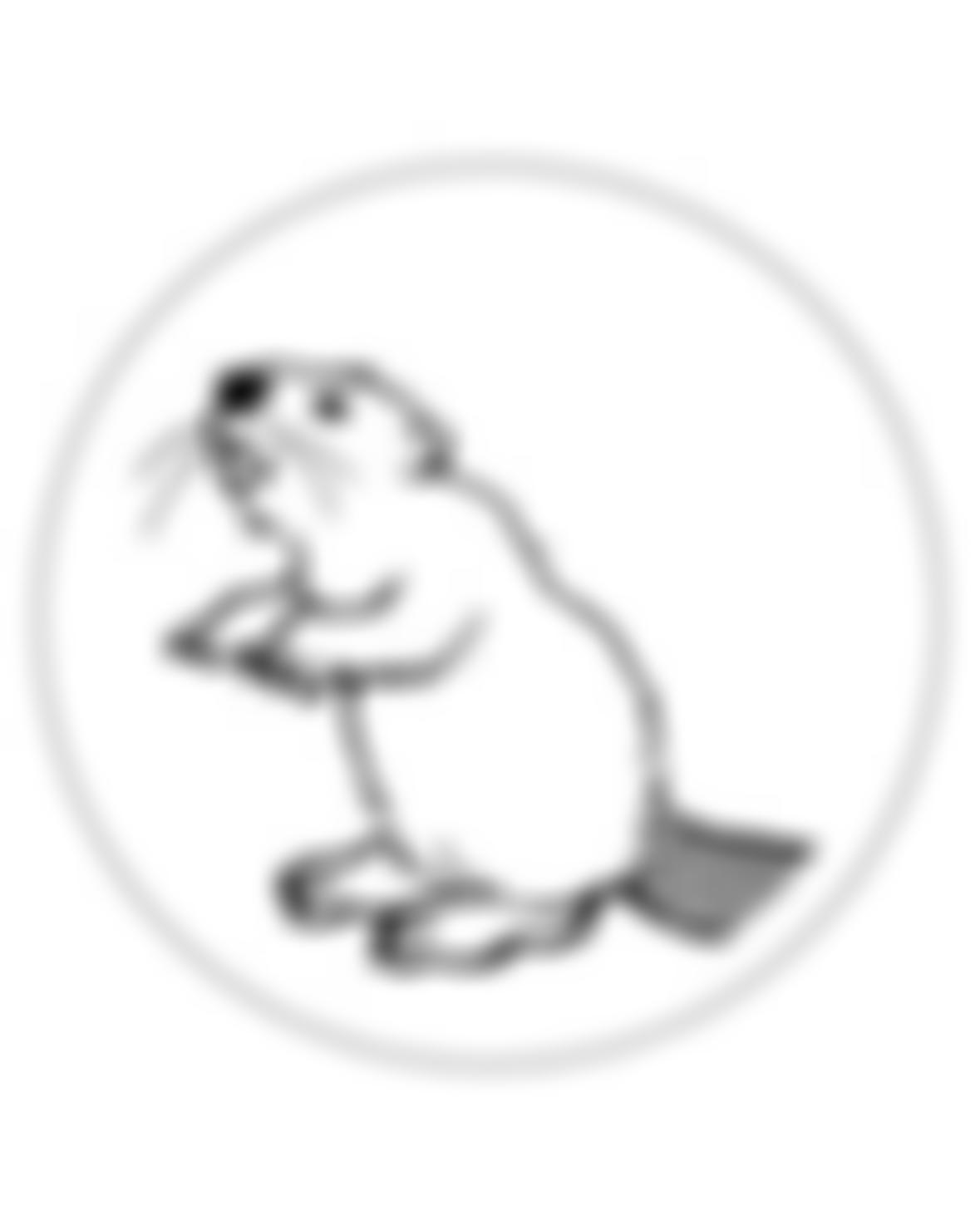 Beavers Under Fives | Charici