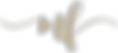 Mehiel Foundation | Charici