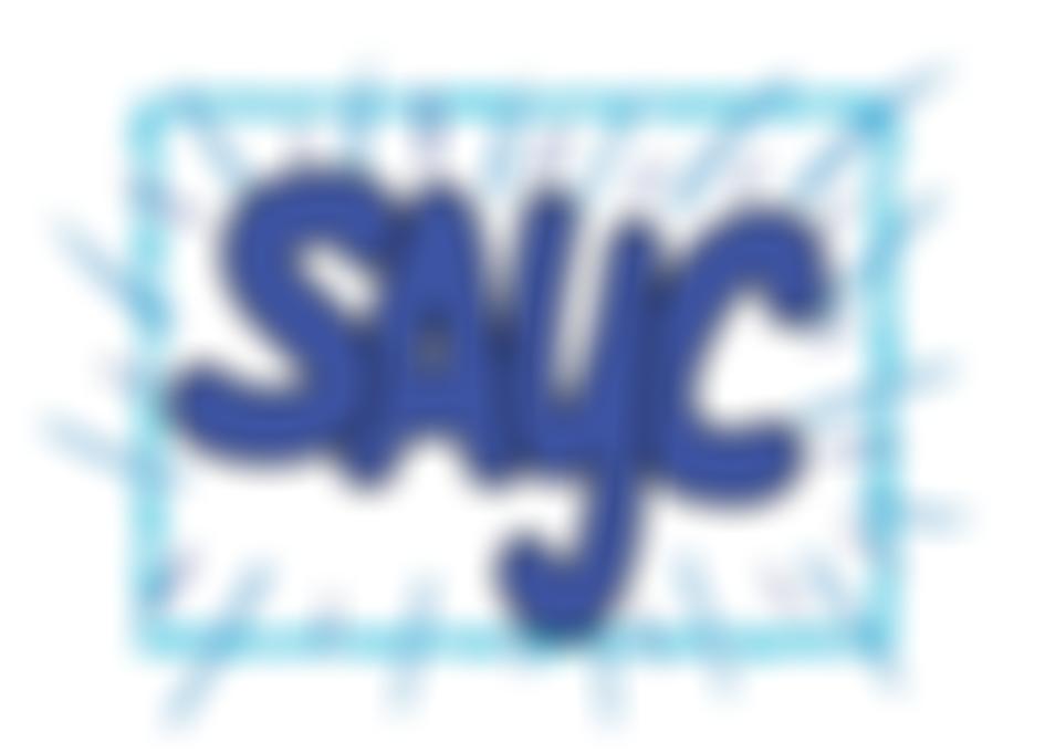 Stanley Area Youth Consortium | Charici