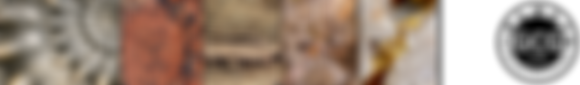 Geological Collections Group | Charici